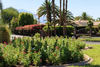 1 Como Circle, Palm Desert