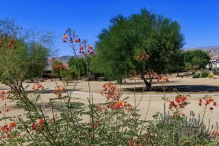 41322 Lightall Court, Indio