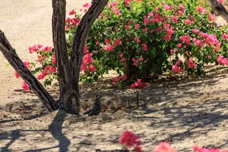 41322 Lightall Court, Indio