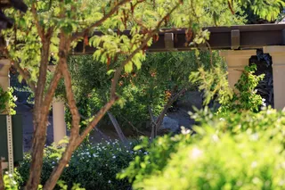 Hidden Canyon, La Quinta