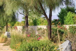 Madison Estates, Indio